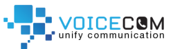 Voicecom Sagl